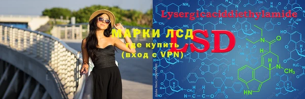 прущие грибы Приозерск