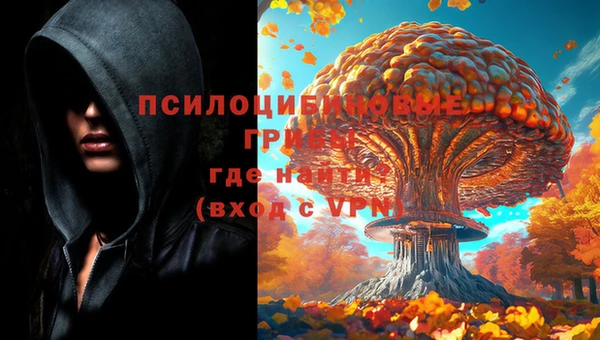 apvp Балабаново