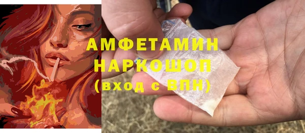 прущие грибы Приозерск